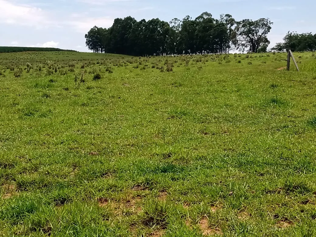 Sítio à venda de 56 ha em Cesário Lange, SP, Brasil