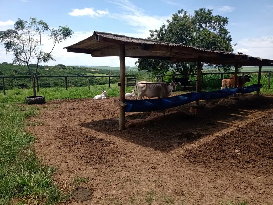 Sítio à venda de 56 ha em Cesário Lange, SP, Brasil