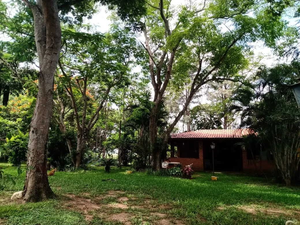 Sítio à venda de 56 ha em Cesário Lange, SP, Brasil