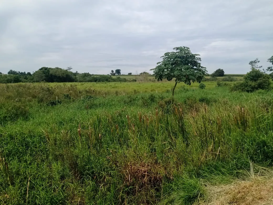 Sítio à venda de 56 ha em Cesário Lange, SP, Brasil
