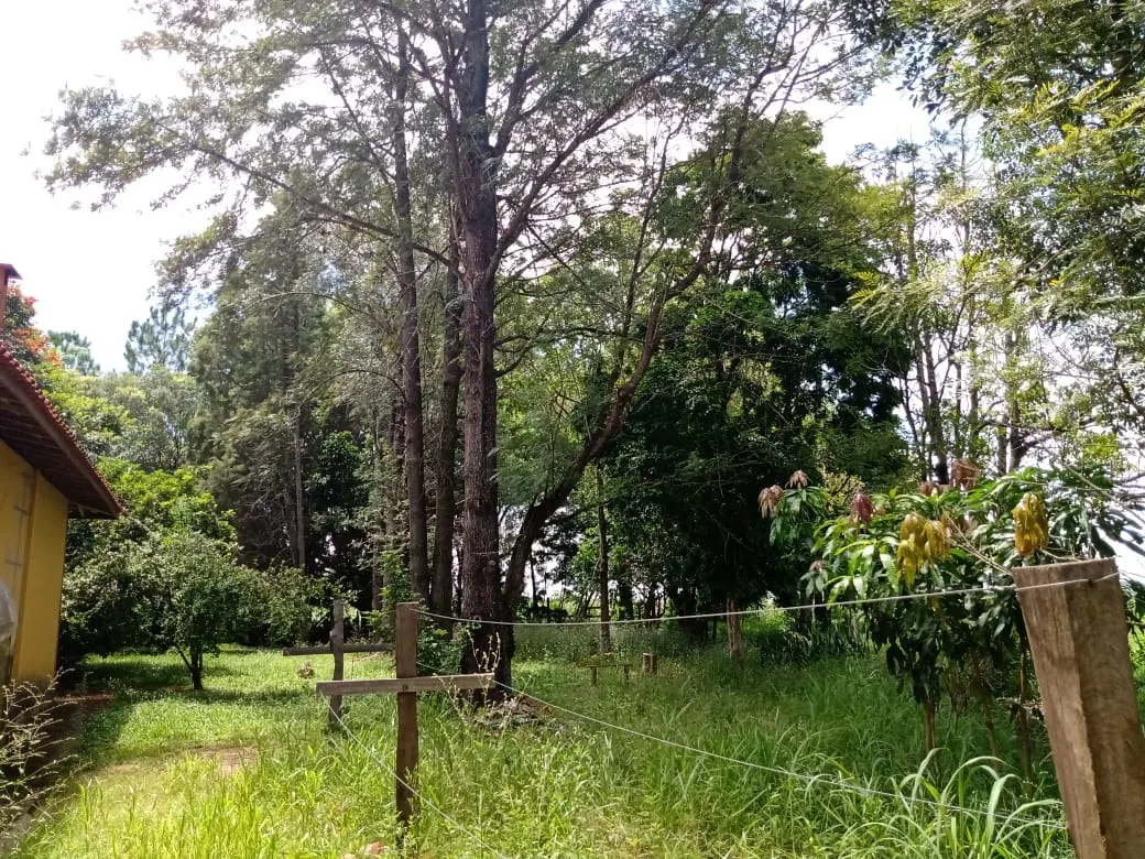 Sítio à venda de 56 ha em Cesário Lange, SP, Brasil