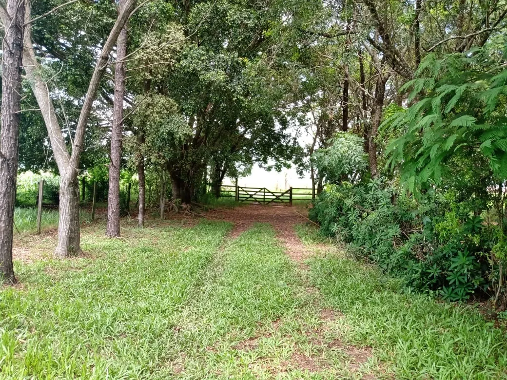 Sítio à venda de 56 ha em Cesário Lange, SP, Brasil