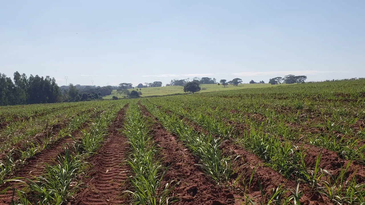 Fazenda à venda e para Arrendar de 172 ha em Nova Granada, SP, Brasil