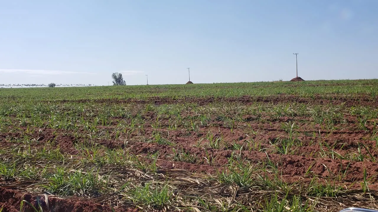 Fazenda à venda e para Arrendar de 172 ha em Nova Granada, SP, Brasil