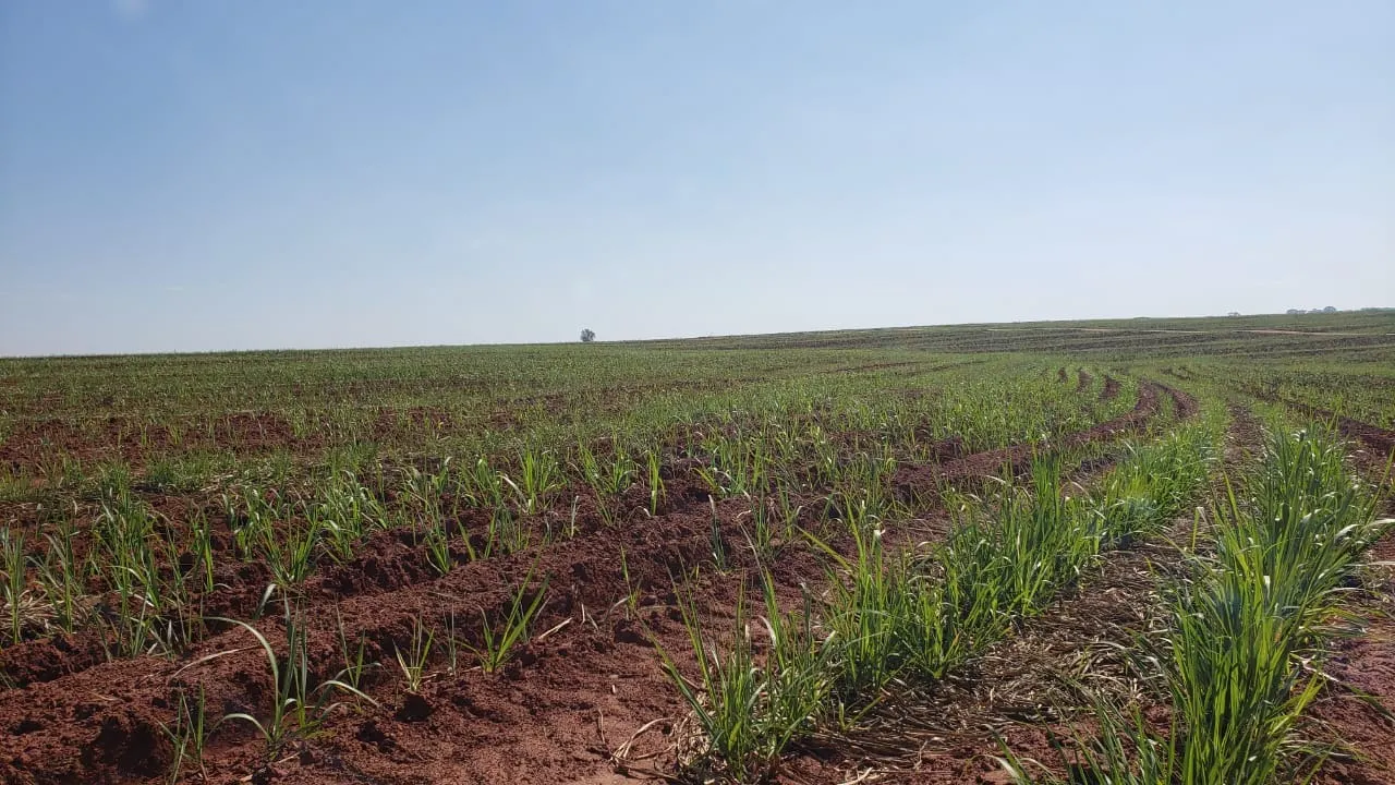 Fazenda à venda e para Arrendar de 172 ha em Nova Granada, SP, Brasil