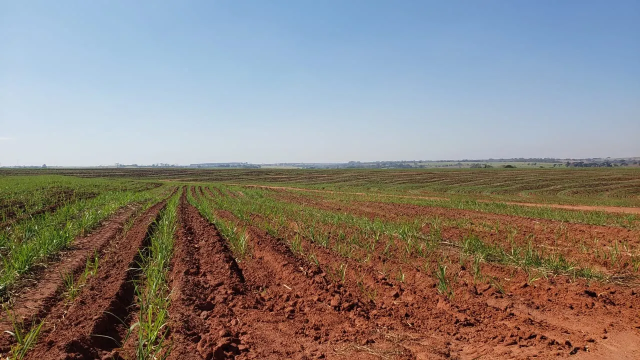 Fazenda à venda e para Arrendar de 172 ha em Nova Granada, SP, Brasil