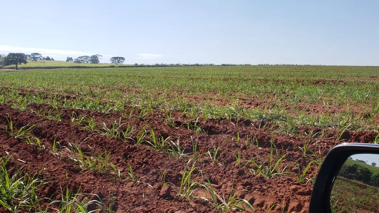 Fazenda à venda e para Arrendar de 172 ha em Nova Granada, SP, Brasil