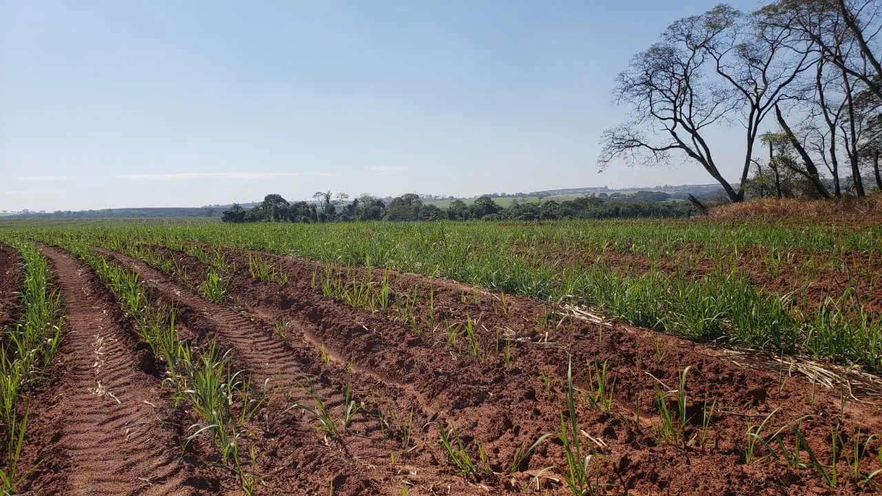 Fazenda à venda e para Arrendar de 172 ha em Nova Granada, SP, Brasil