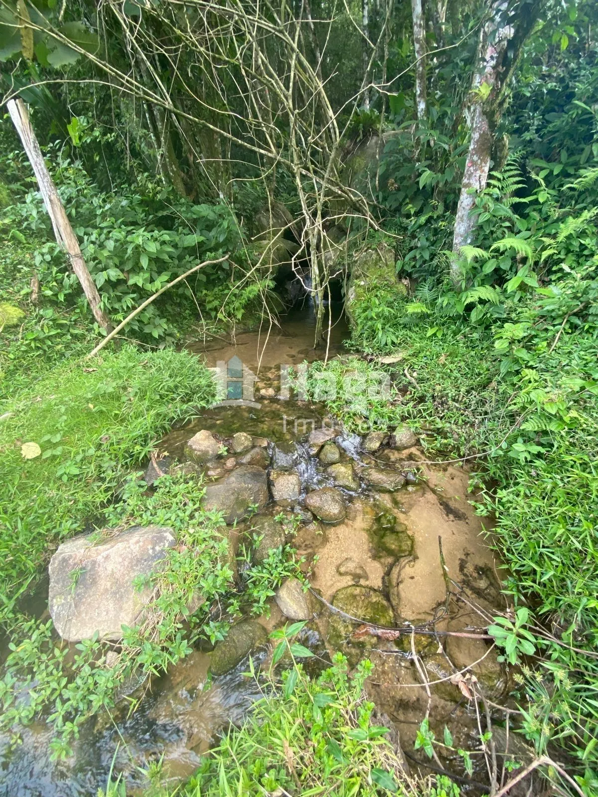 Chácara à venda de 4 ha em Nova Trento, SC, Brasil