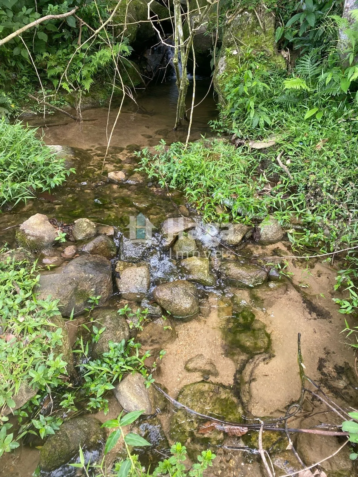 Chácara à venda de 4 ha em Nova Trento, SC, Brasil