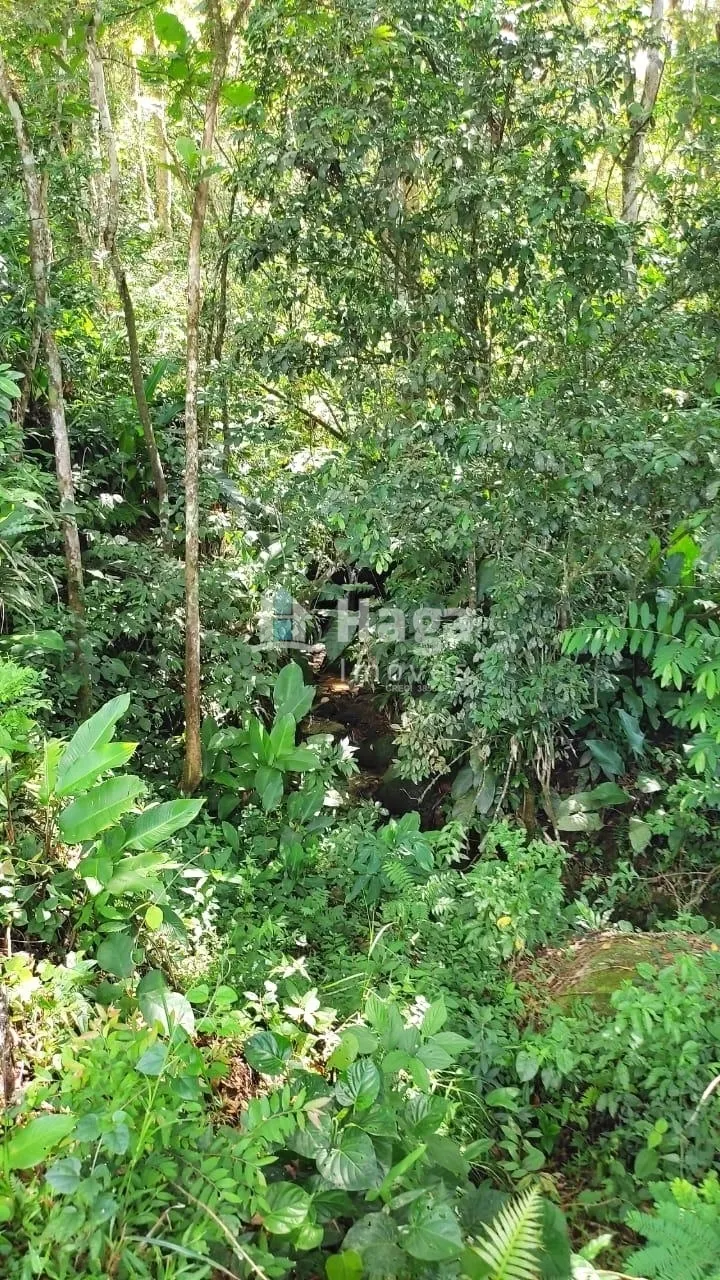 Chácara à venda de 4 ha em Nova Trento, SC, Brasil