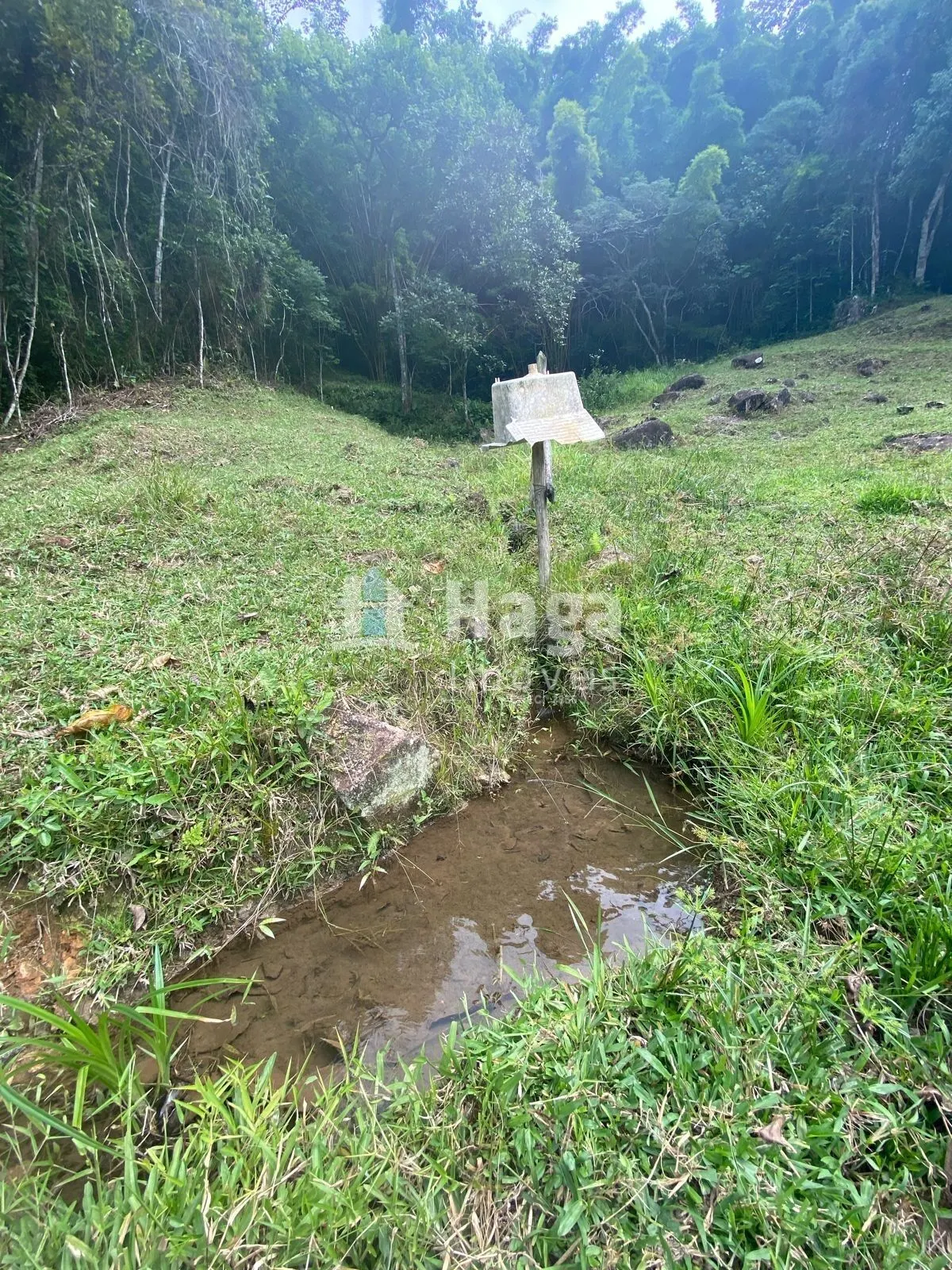Chácara à venda de 4 ha em Nova Trento, SC, Brasil