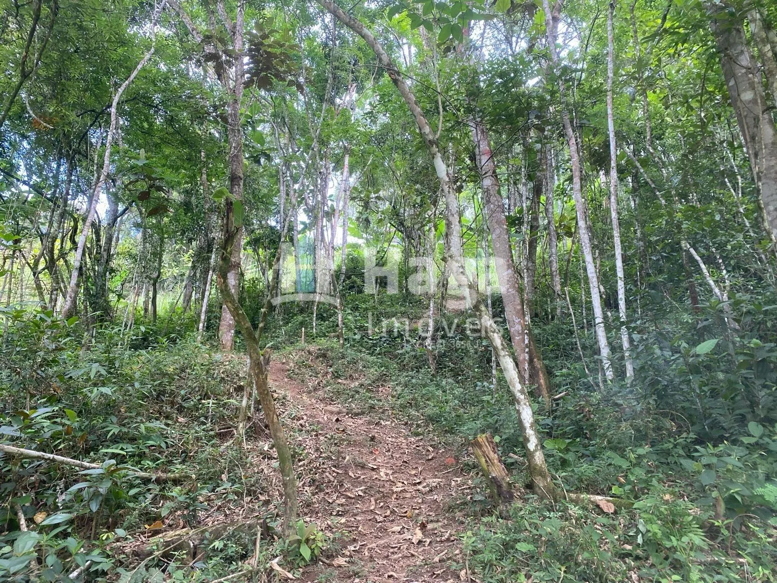 Chácara à venda de 4 ha em Nova Trento, SC, Brasil