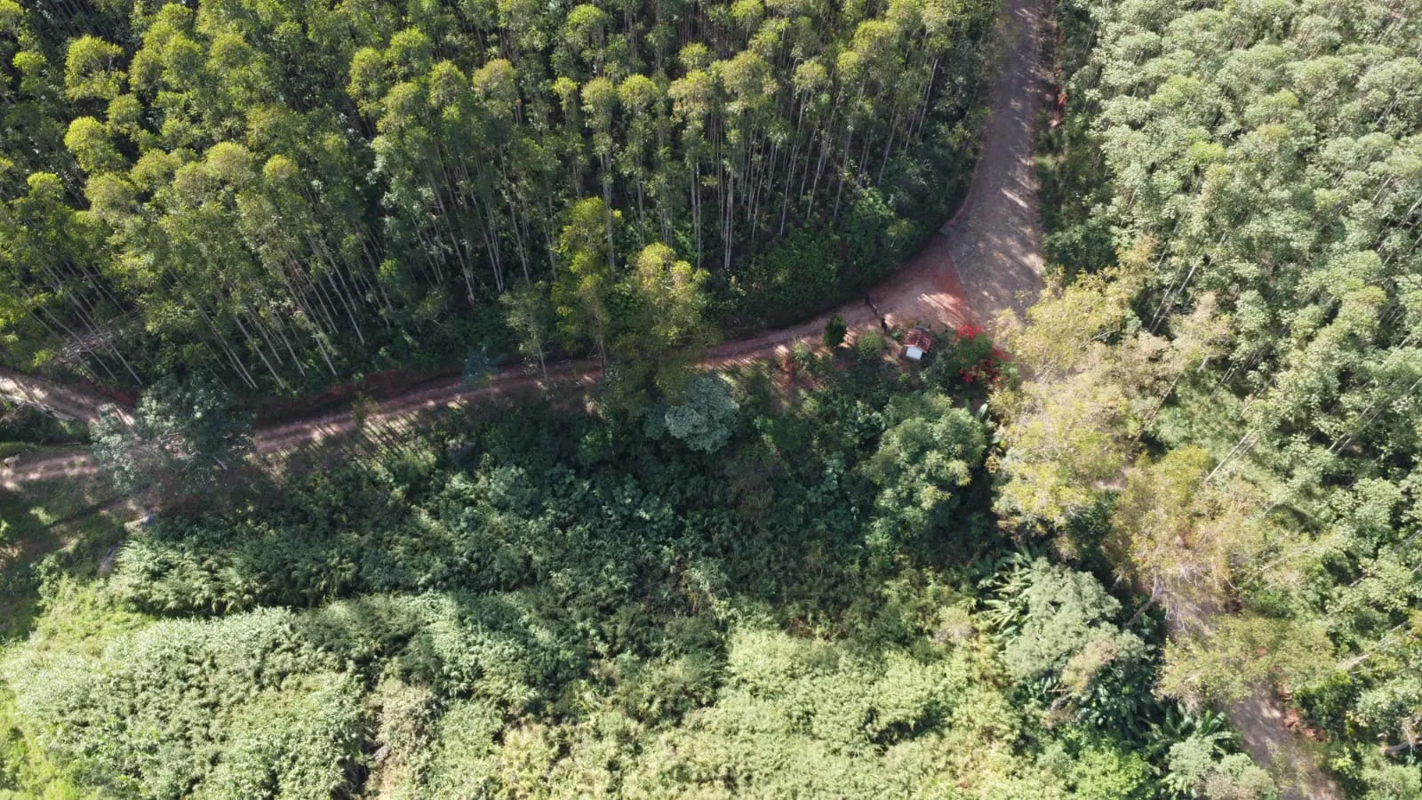 Sítio à venda de 22 ha em Redenção da Serra, SP, Brasil