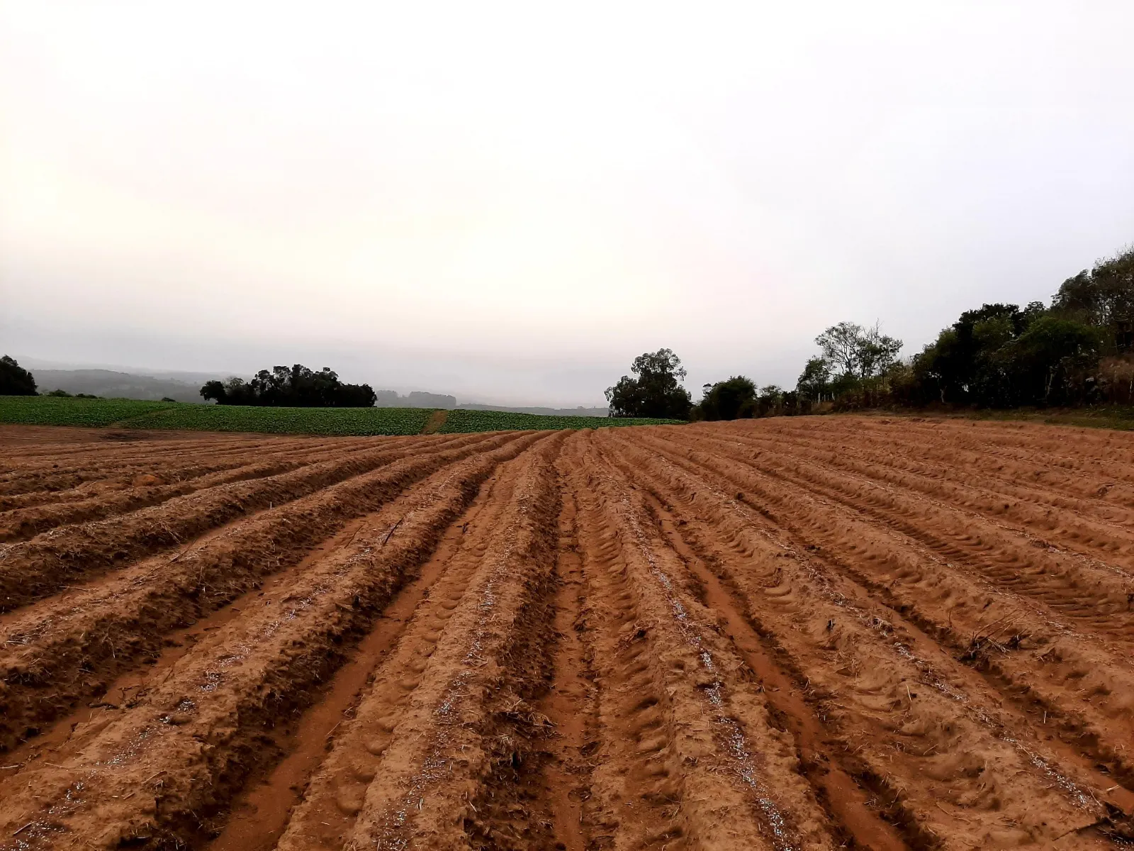 Sítio à venda e para Arrendar de 12 ha em Mariana Pimentel, RS, Brasil