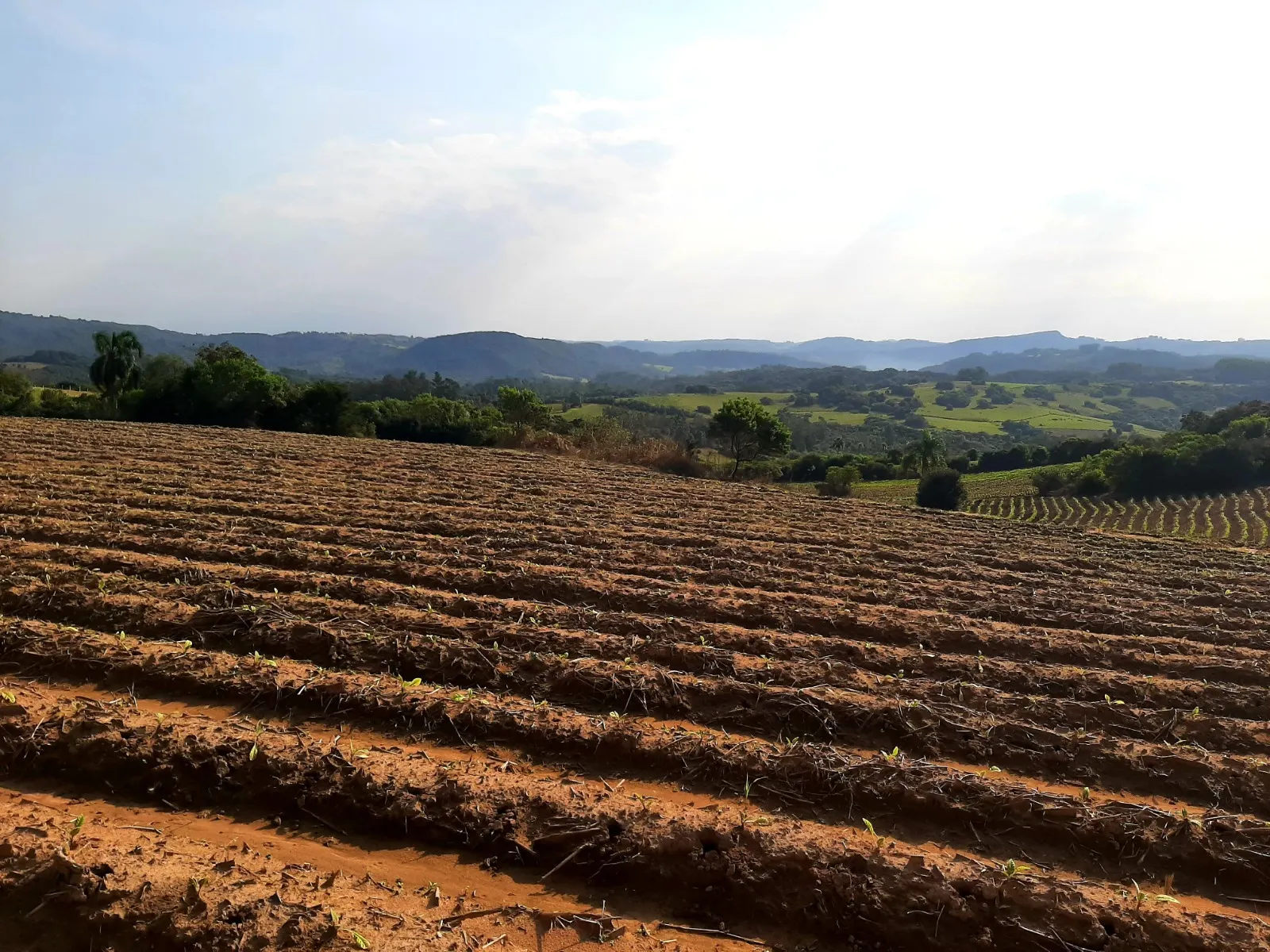 Sítio à venda e para Arrendar de 12 ha em Mariana Pimentel, RS, Brasil