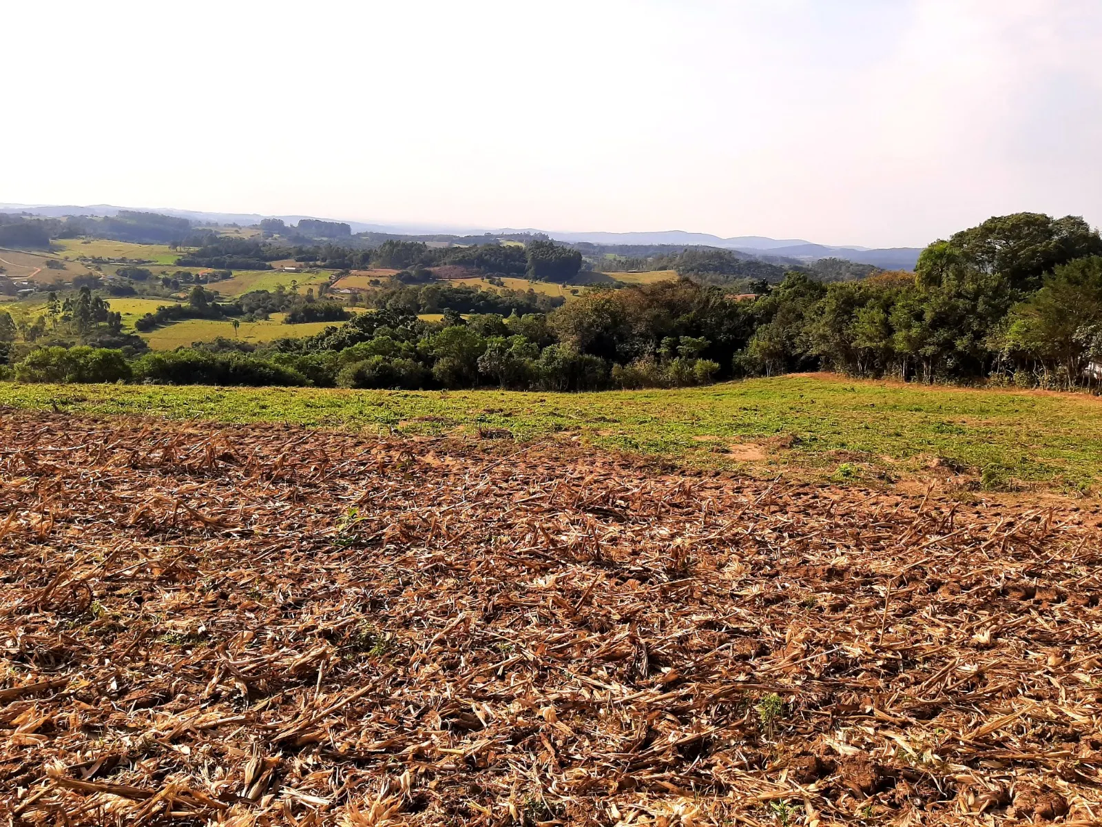 Sítio à venda e para Arrendar de 12 ha em Mariana Pimentel, RS, Brasil