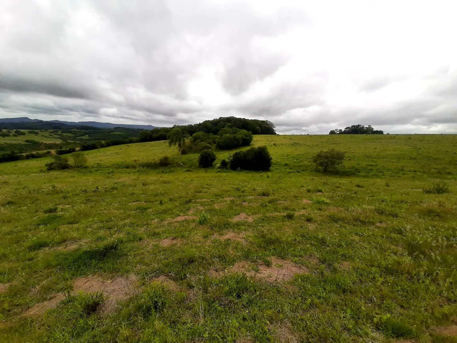 Sítio à venda e para Arrendar de 12 ha em Mariana Pimentel, RS, Brasil