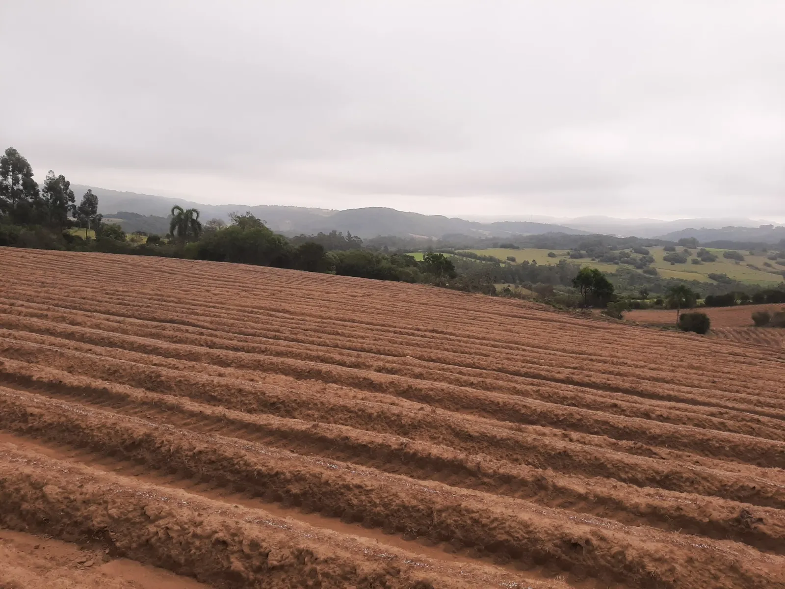 Sítio à venda e para Arrendar de 12 ha em Mariana Pimentel, RS, Brasil