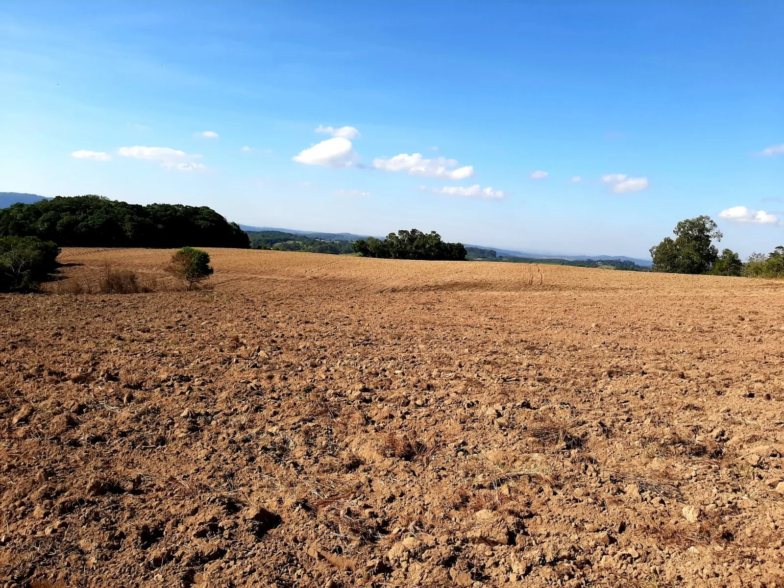 Sítio à venda e para Arrendar de 12 ha em Mariana Pimentel, RS, Brasil