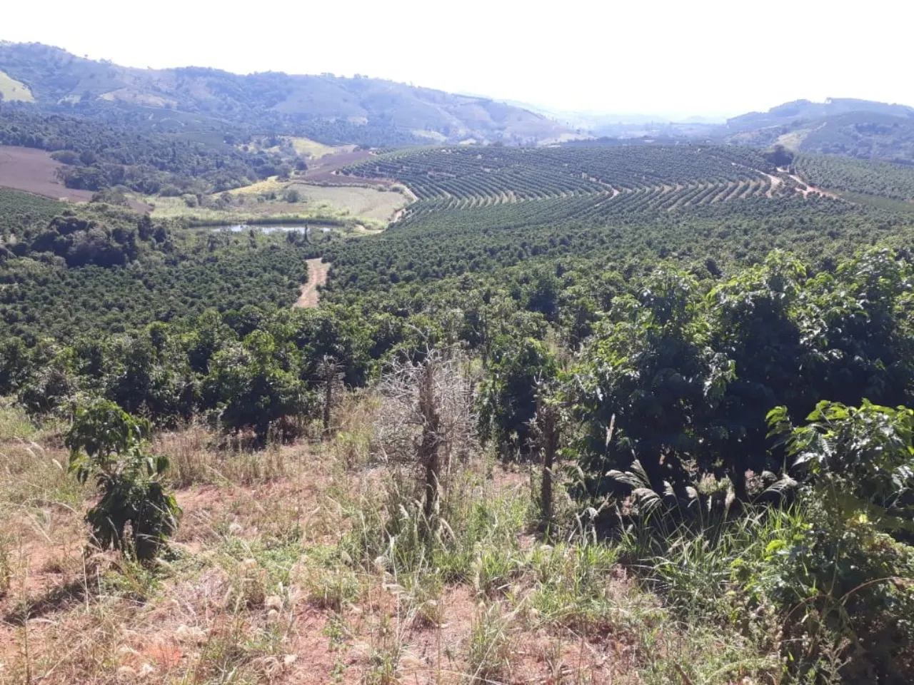 Fazenda à venda de 252 ha em Boa Esperança, MG, Brasil