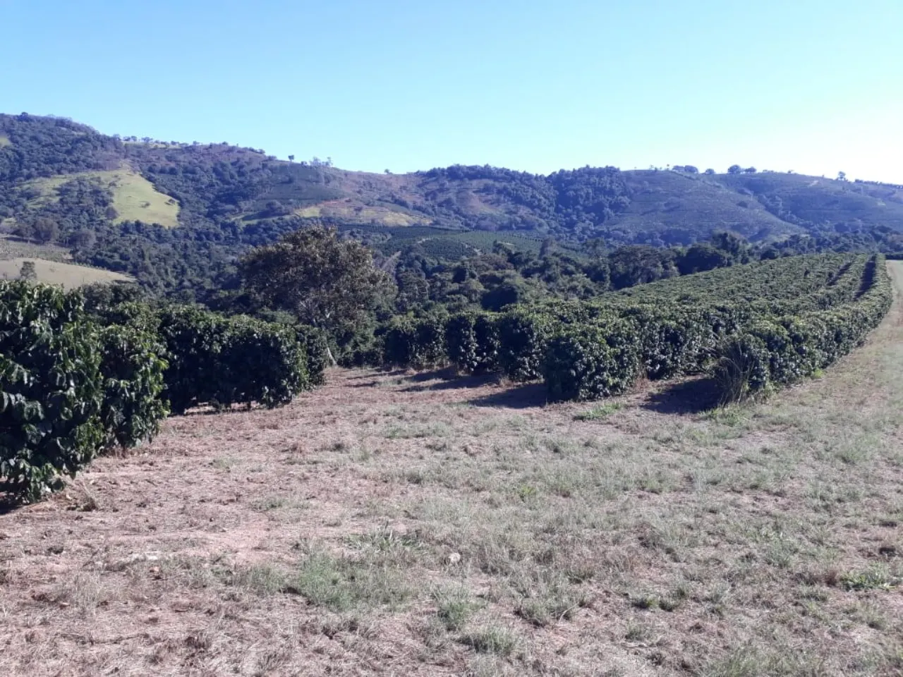 Fazenda à venda de 252 ha em Boa Esperança, MG, Brasil