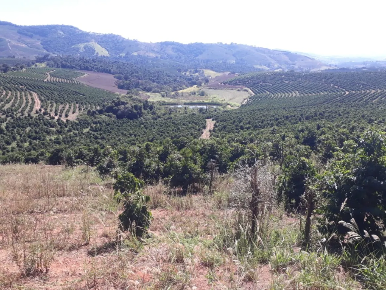 Fazenda à venda de 252 ha em Boa Esperança, MG, Brasil