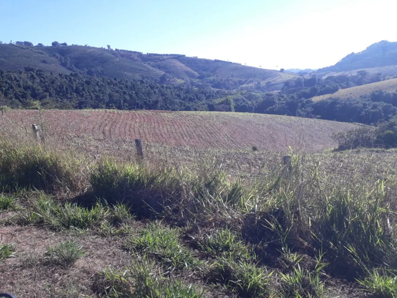 Fazenda à venda de 252 ha em Boa Esperança, MG, Brasil