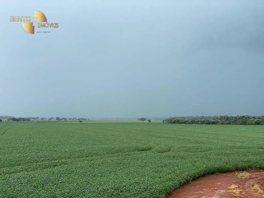Fazenda à venda de 460 ha em Nobres, MT, Brasil