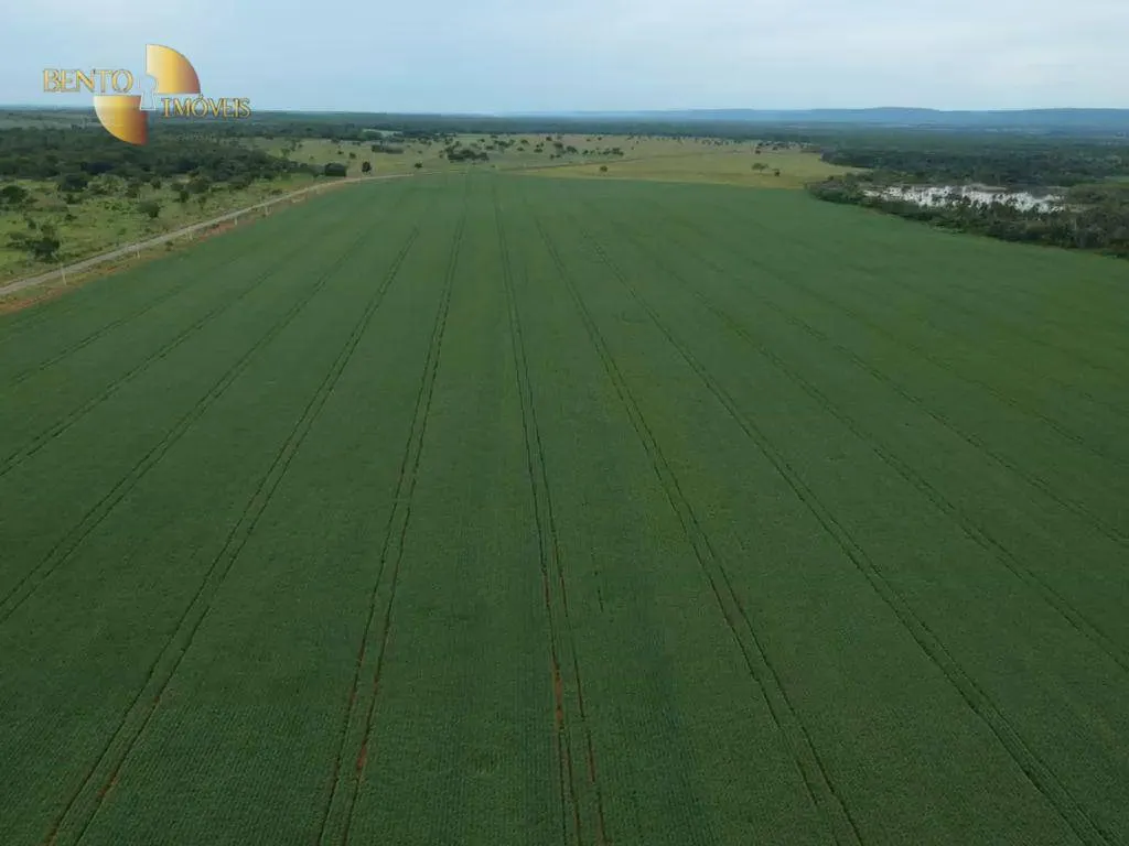 Fazenda à venda de 460 ha em Nobres, MT, Brasil