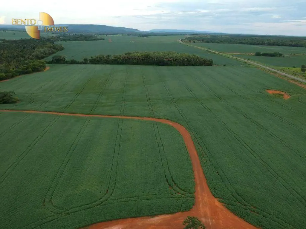 Fazenda à venda de 460 ha em Nobres, MT, Brasil