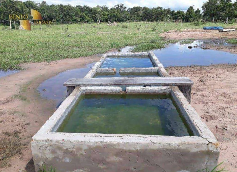Fazenda à venda de 2.014 ha em Araguaiana, MT, Brasil