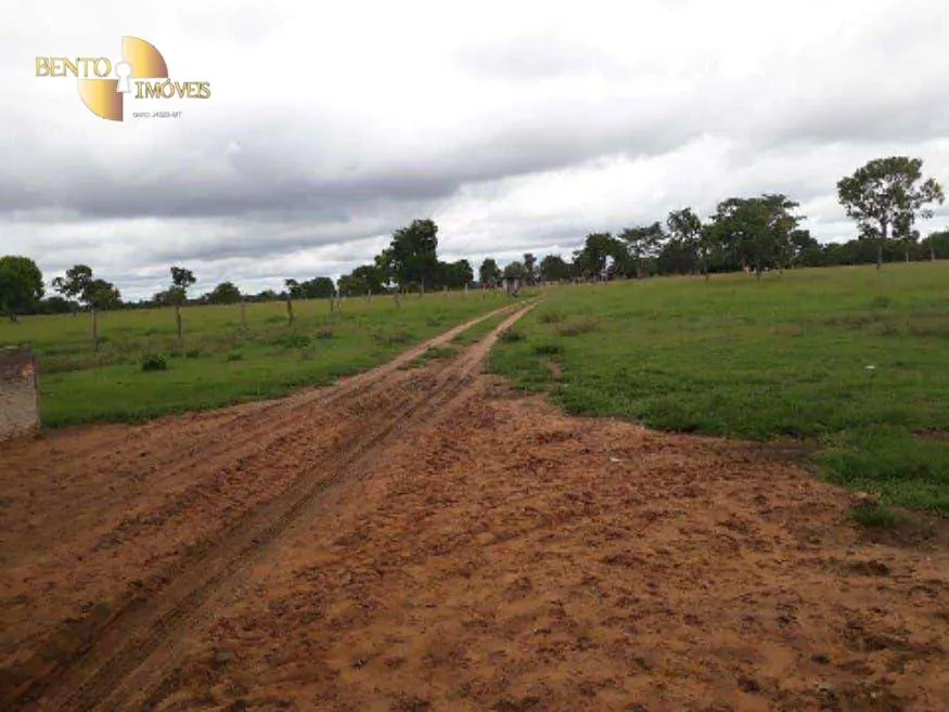Fazenda à venda de 2.014 ha em Araguaiana, MT, Brasil