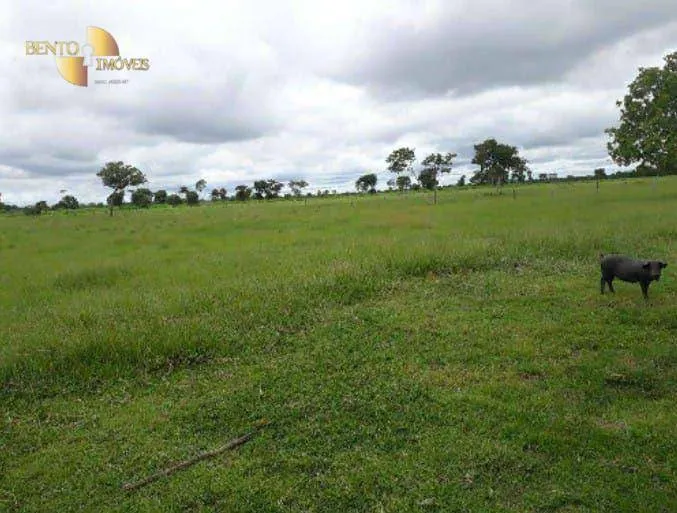 Fazenda à venda de 2.014 ha em Araguaiana, MT, Brasil