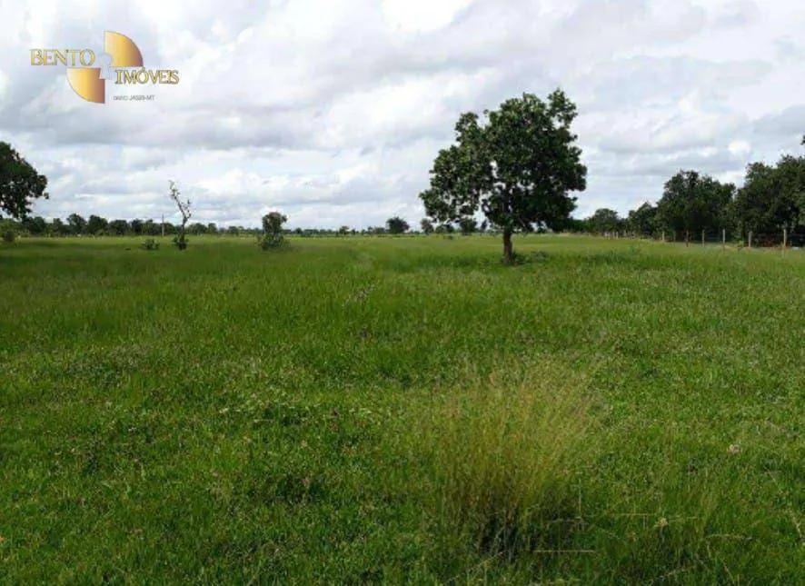 Fazenda à venda de 2.014 ha em Araguaiana, MT, Brasil