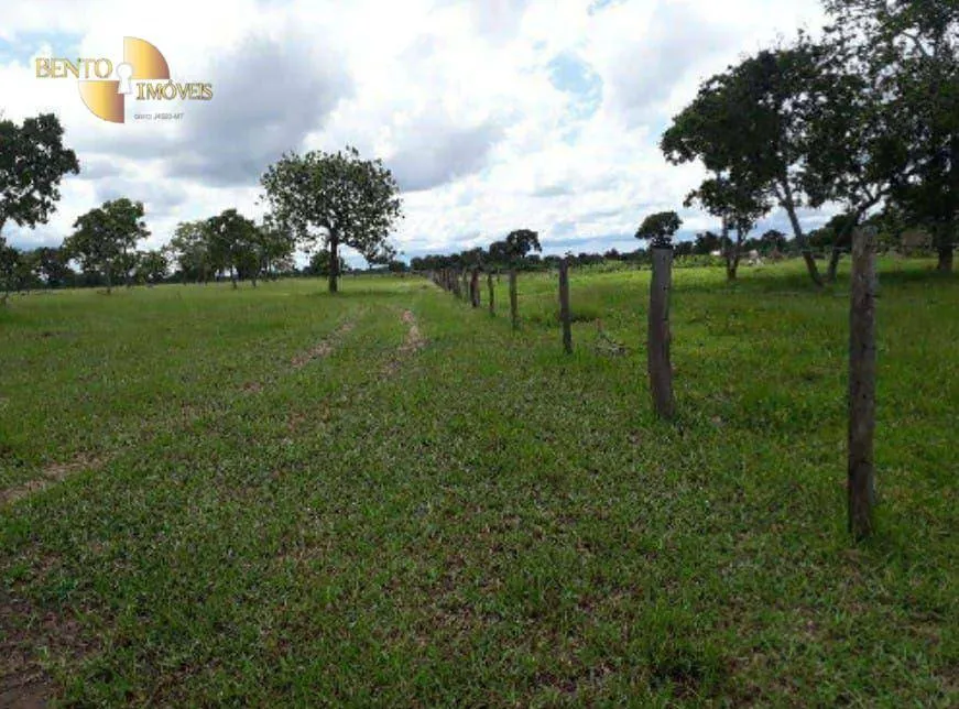 Fazenda à venda de 2.014 ha em Araguaiana, MT, Brasil