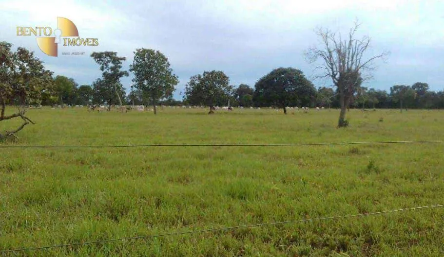Fazenda à venda de 2.014 ha em Araguaiana, MT, Brasil