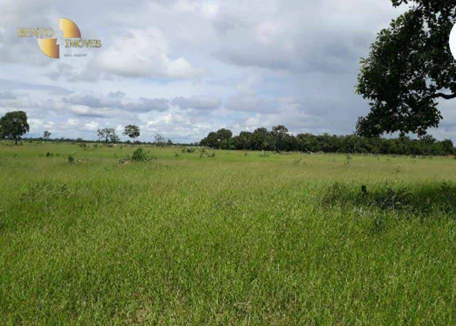 Fazenda à venda de 2.014 ha em Araguaiana, MT, Brasil
