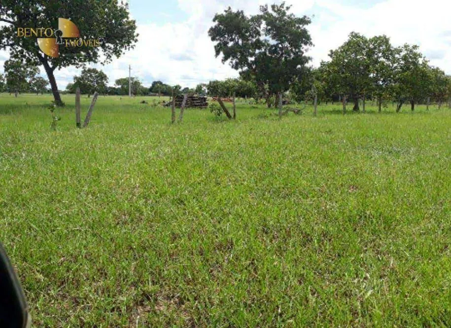 Fazenda à venda de 2.014 ha em Araguaiana, MT, Brasil