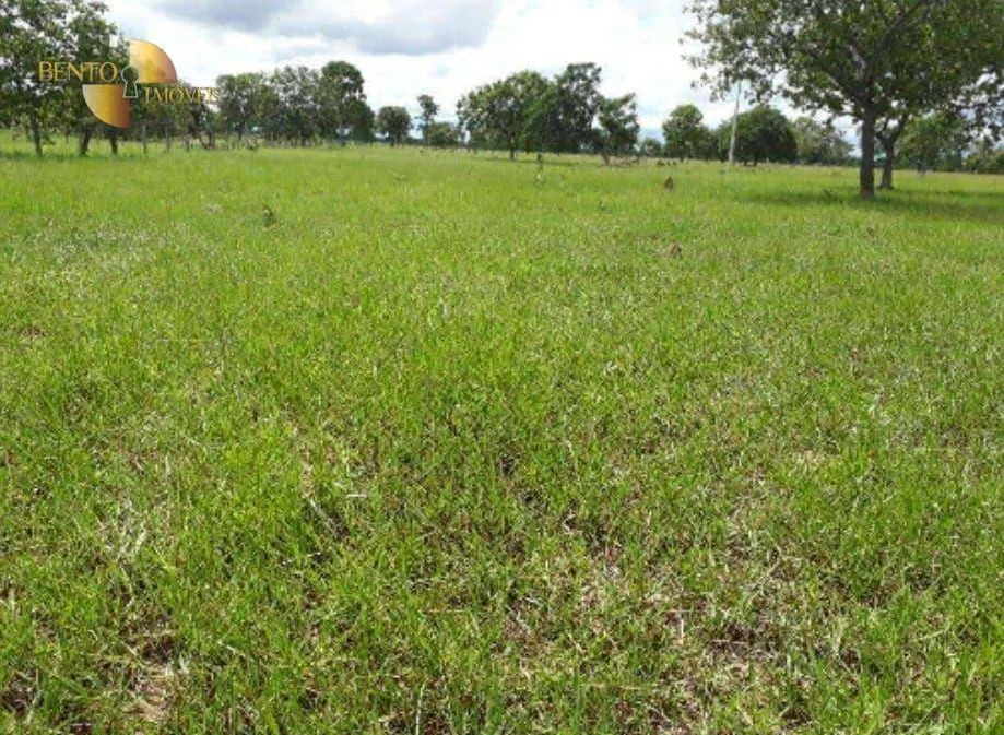 Fazenda à venda de 2.014 ha em Araguaiana, MT, Brasil