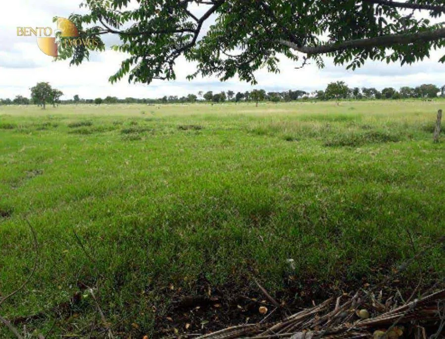 Fazenda à venda de 2.014 ha em Araguaiana, MT, Brasil
