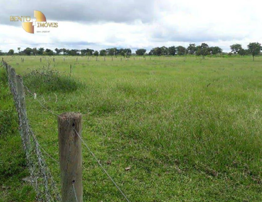 Fazenda à venda de 2.014 ha em Araguaiana, MT, Brasil
