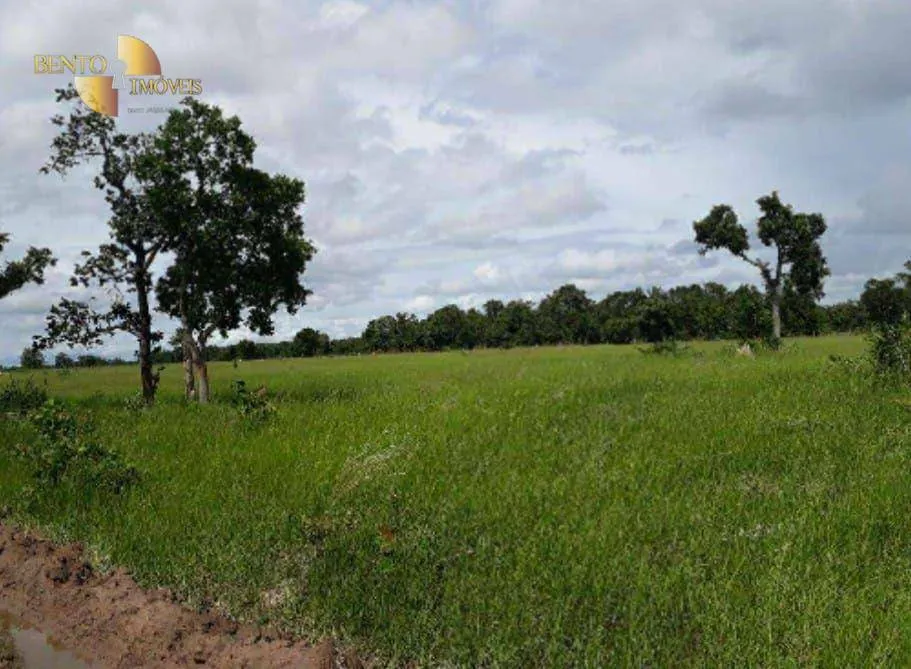 Fazenda à venda de 2.014 ha em Araguaiana, MT, Brasil