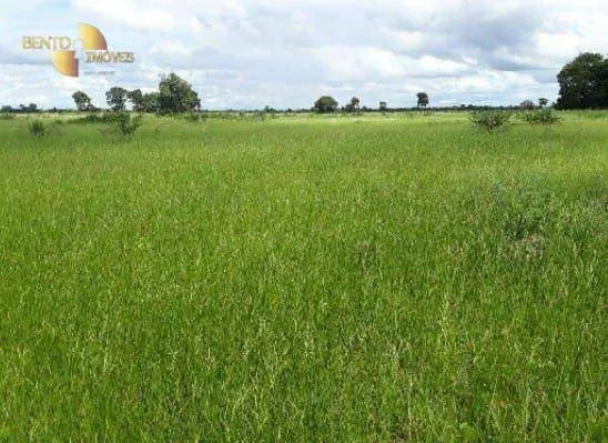 Fazenda à venda de 2.014 ha em Araguaiana, MT, Brasil