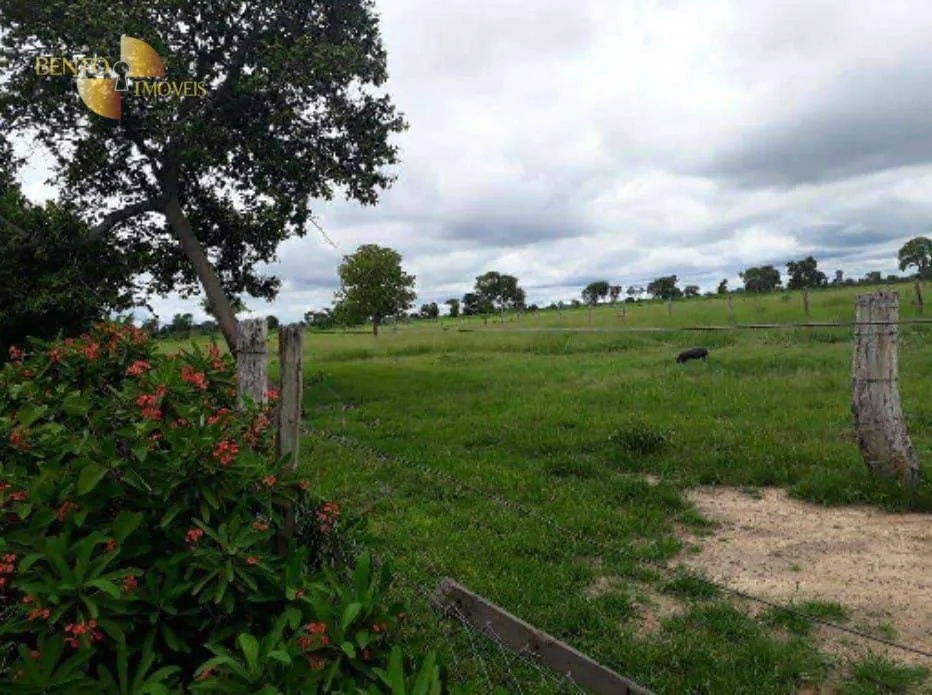 Fazenda à venda de 2.014 ha em Araguaiana, MT, Brasil