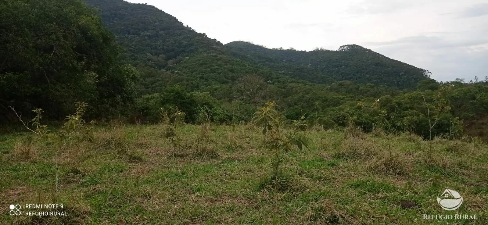 Sítio à venda de 14 ha em Monteiro Lobato, SP, Brasil