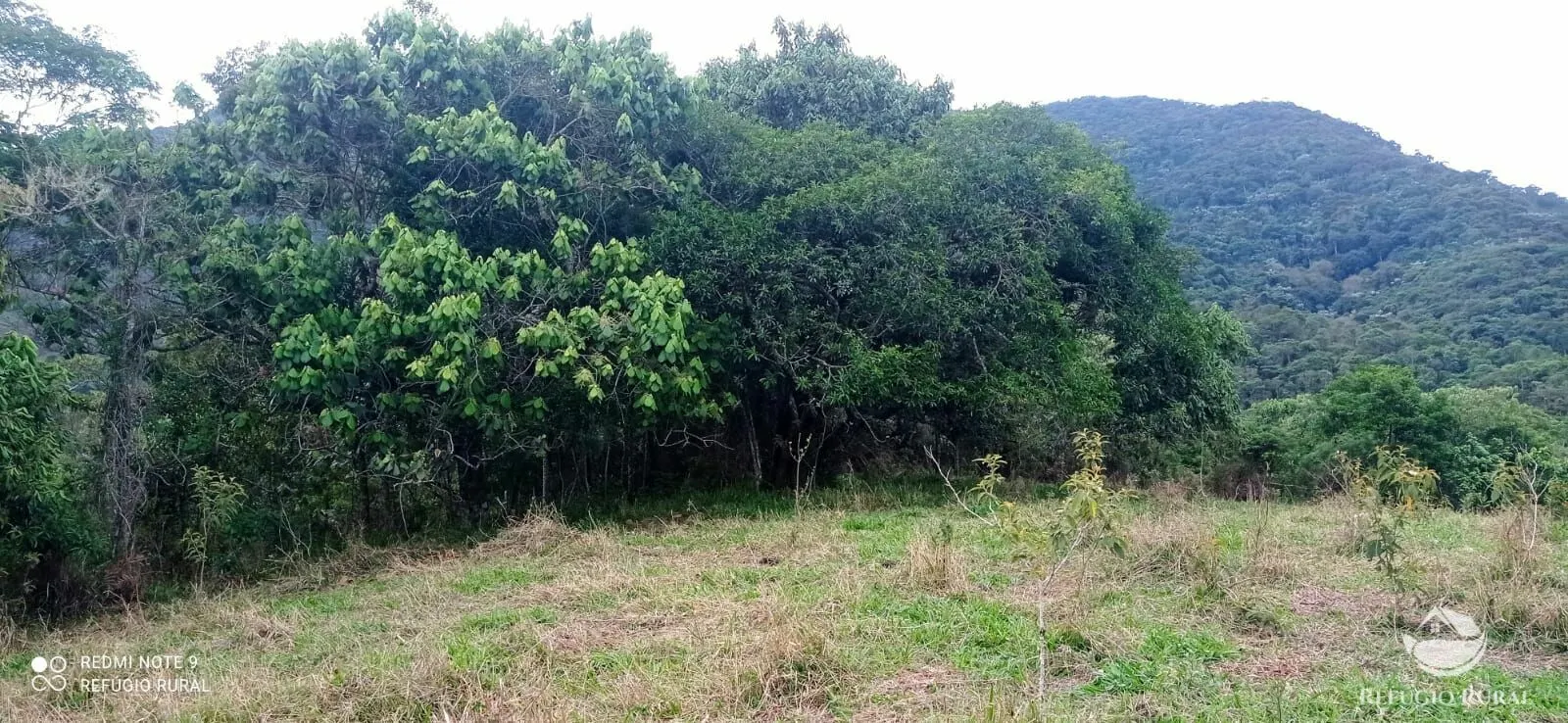 Sítio à venda de 14 ha em Monteiro Lobato, SP, Brasil