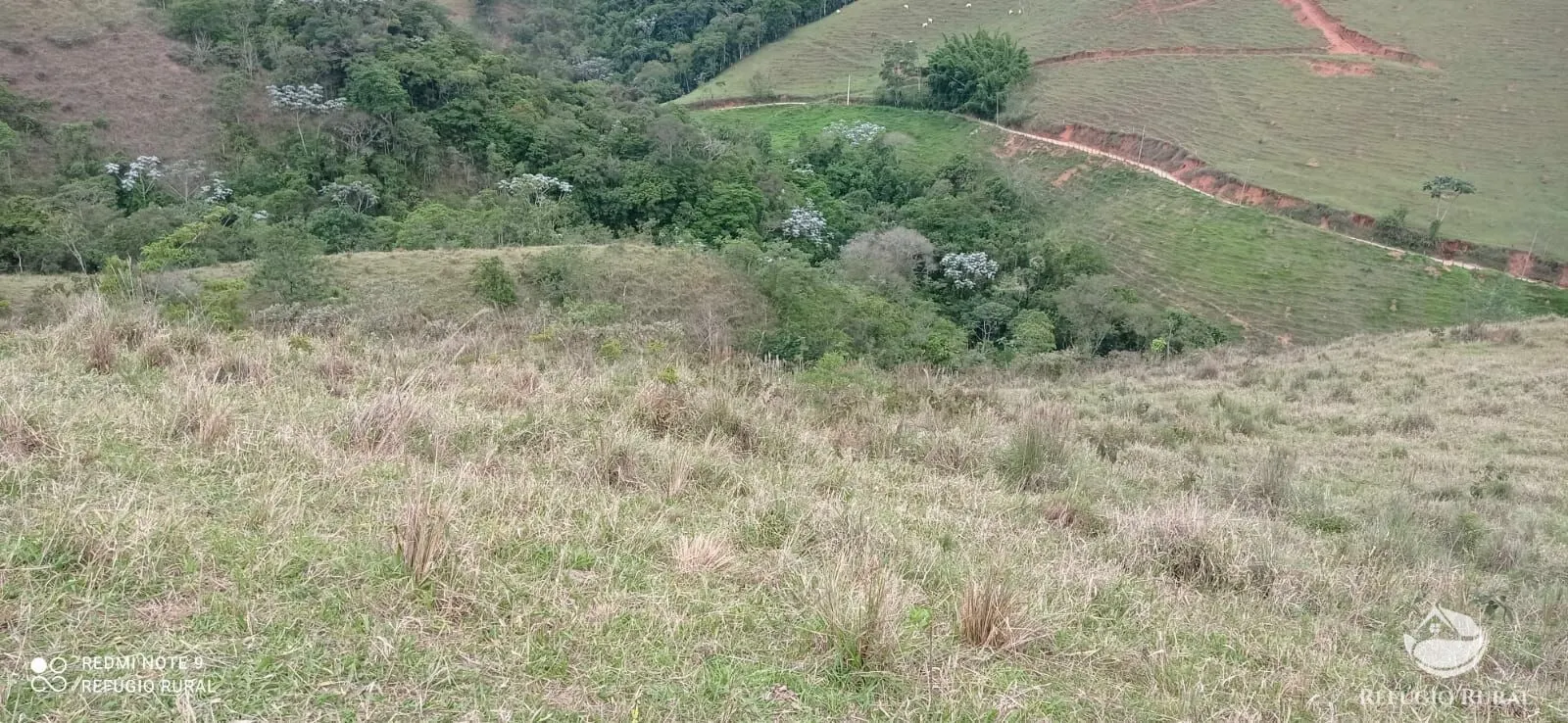 Sítio à venda de 14 ha em Monteiro Lobato, SP, Brasil