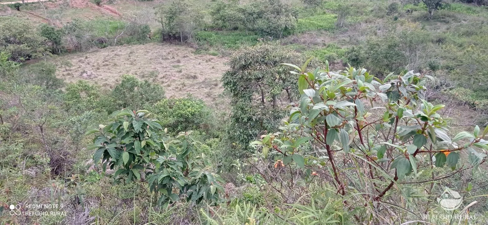 Sítio à venda de 14 ha em Monteiro Lobato, SP, Brasil