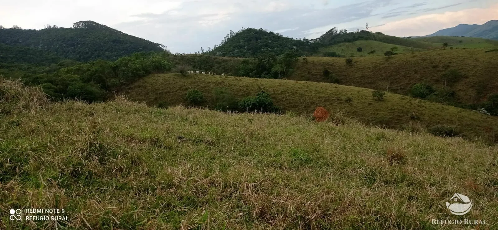 Sítio à venda de 14 ha em Monteiro Lobato, SP, Brasil